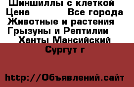 Шиншиллы с клеткой › Цена ­ 8 000 - Все города Животные и растения » Грызуны и Рептилии   . Ханты-Мансийский,Сургут г.